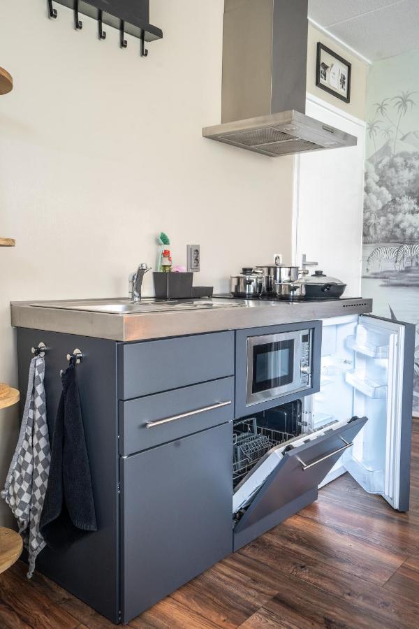 The Lion King - 6 Person Linked Apartment With Roof Terrace Groningen Dış mekan fotoğraf
