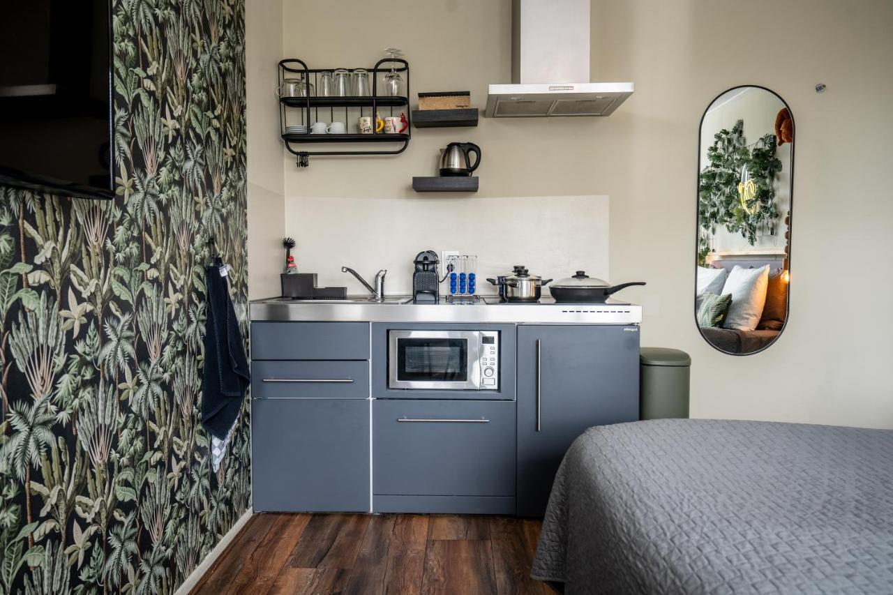 The Lion King - 6 Person Linked Apartment With Roof Terrace Groningen Dış mekan fotoğraf