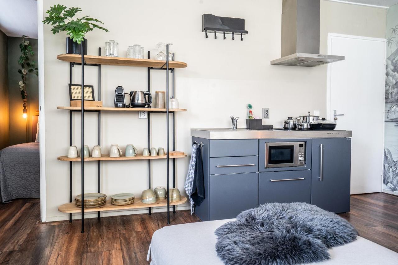 The Lion King - 6 Person Linked Apartment With Roof Terrace Groningen Dış mekan fotoğraf